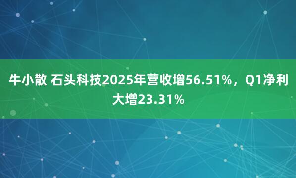 牛小散 石头科技2025年营收增56.51%，Q1净利大增23.31%