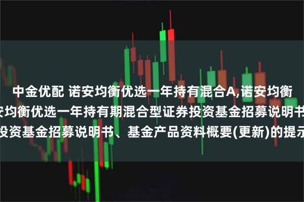 中金优配 诺安均衡优选一年持有混合A,诺安均衡优选一年持有混合C 诺安均衡优选一年持有期混合型证券投资基金招募说明书、基金产品资料概要(更新)的提示性公告