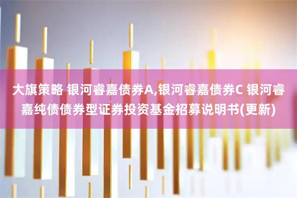 大旗策略 银河睿嘉债券A,银河睿嘉债券C 银河睿嘉纯债债券型证券投资基金招募说明书(更新)
