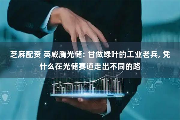 芝麻配资 英威腾光储: 甘做绿叶的工业老兵, 凭什么在光储赛道走出不同的路