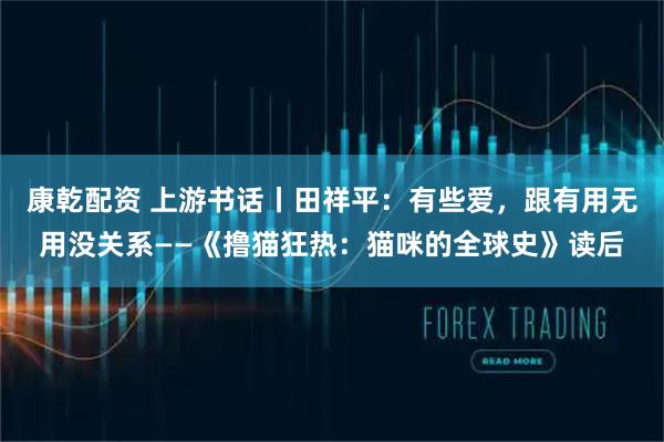 康乾配资 上游书话丨田祥平：有些爱，跟有用无用没关系——《撸猫狂热：猫咪的全球史》读后