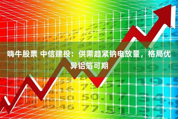 嗨牛股票 中信建投：供需趋紧钠电放量，格局优异铝箔可期